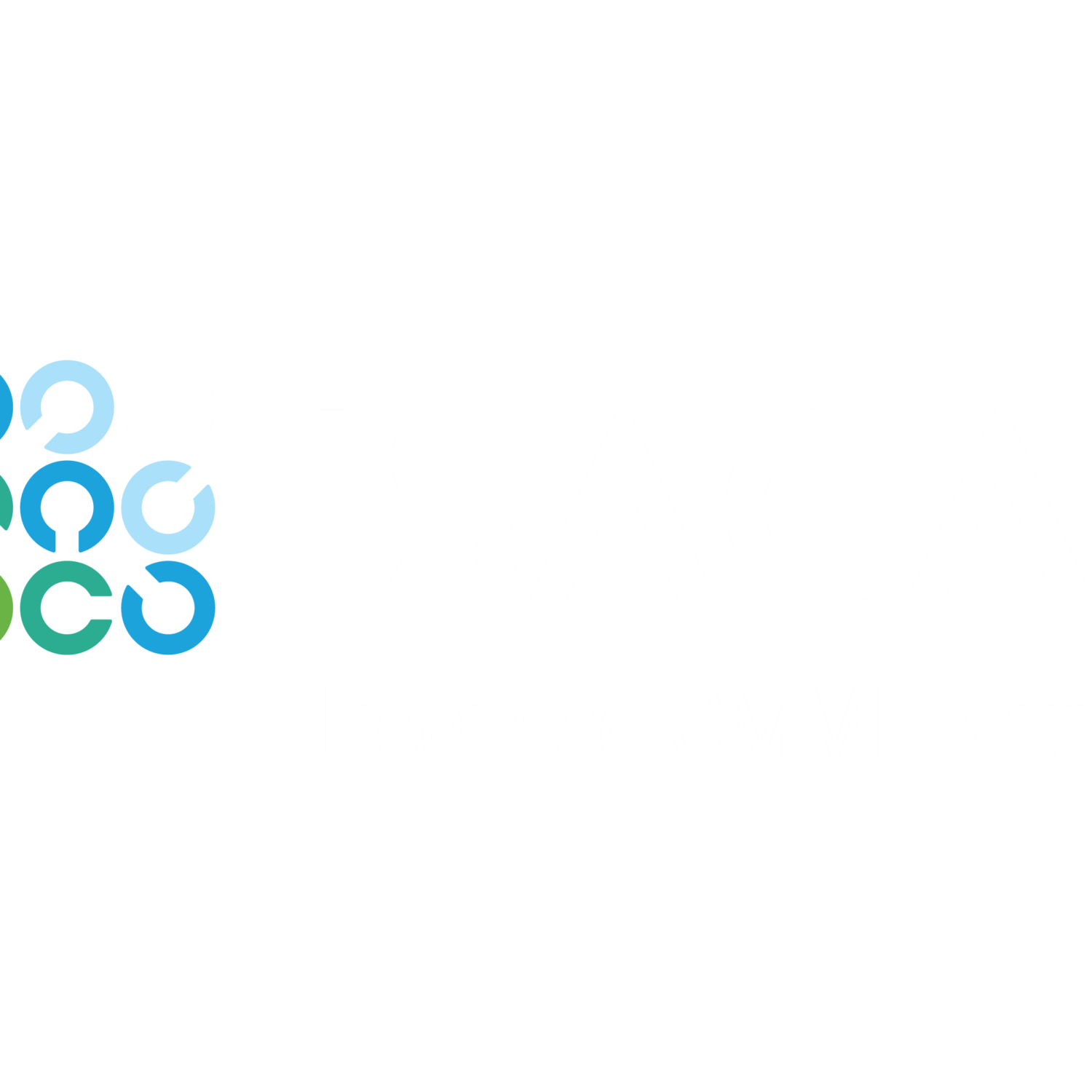 ISACA_Licensed-CMMI-Partner_rev_Logo-2